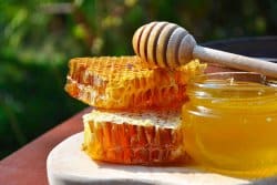 Le miel est excellent pour la santé