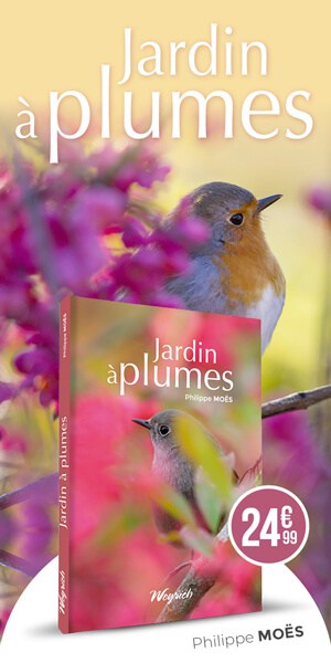 « Jardin à plumes » de Philippe Moës est disponible en librairie et sur notre e-shop.
