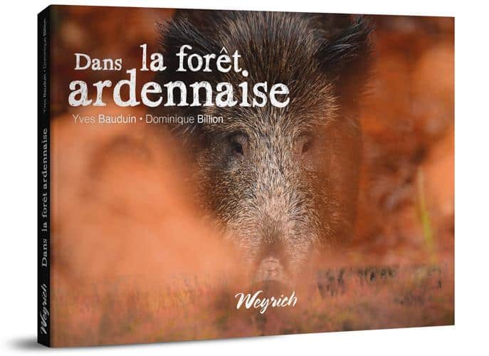 « Dans la forêt ardennaise » de Yves Bauduin et Dominique Billion disponible en librairies et sur notre e-shop à 19,50 €.
